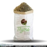 Thyme natural herb