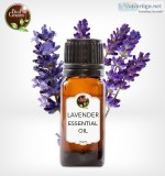 Lavender essential oil 