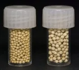 Buy best quality molecular sieve 3a 
