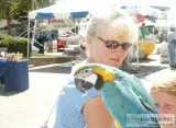 ( macaw parrot) just for your home