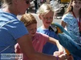 Blue and gold macaw