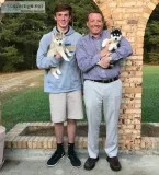 Akc husky puppies