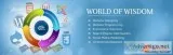 Best seo company service providing hyd