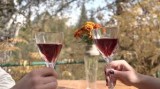 Fine wines for sale