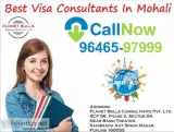 Best immigration consultant in mohali
