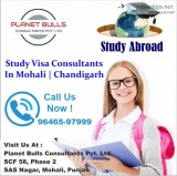 Best visa consultants in punjab