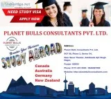Best visa consultants in mohali