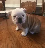 Ellie may is a super calm girl 