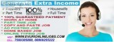 Best part time home based online data en