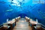 Adventurous maldives tour package