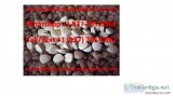 Buy dilaudid online legit 2018 