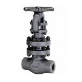 1 inch forged gate valve