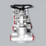 Carbon steel forged globe valve