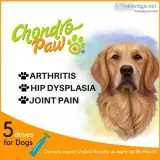 Hip & joint supplement for dogs