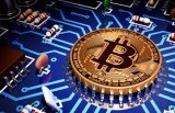 Bitcoin will go up - get it for free!