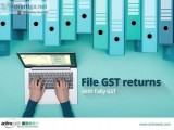 Tally gst software