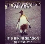 Fast weight loss ? be slimmer just weeks