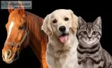 Savings on brand name pet care supplies
