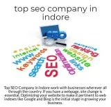Looking for top seo company in indore