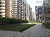 Buy Now 1 BHK Gaur Atulyam Apartment Noida  9250-377-000