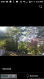 Tree removal hazard assessment
