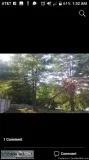 Tree removal hazard assessment