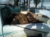Ranger load of firewood