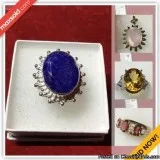 Delta Downsizing Online Auction - Kendale Way