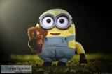 funny memes