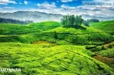 Feel the nature
