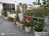Best PG for Working BoysMen in Dwarka
