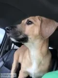 Free to good home