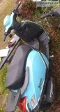 Blue 2008 Qlink Siena 150cc mo pedscooter