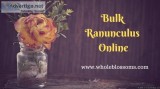 Get Perfect Ranunculus from Whole Blossoms
