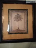 Set of Tommy Bahama pictures