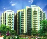 Panchsheel Hynish- 2 BHK Residential Flats for Sale  8744077088