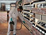 Some Pest Control Mistakes You Must Stop Doing Right Now