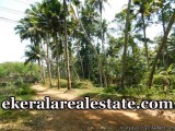85 Cents Land Sale in Neyyattinkara