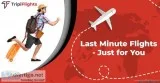 Your Choice of Last Minute Flight Deals