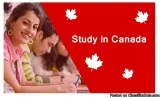 Best celpip&nbspcoaching in Sangrur&nbsp