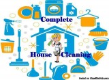 General House Cleaning and Home Organization 