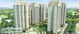 Live a king sized life with Ace Golfshire Noida 9278057805