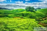 9.  Want to Enjoy the Coolest Place at Earth. Hury Up