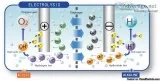 Buy affordable Alkwa Water ionizer India