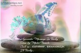 Ayurvedic Massage 1599hr