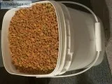 15lbs tub of friskies cat food