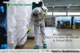 Pest Control Noida  Call for Appointment   No. 1 Pest Control