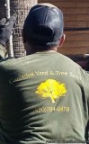 CAMELOTS TREE AND YARD SERVICE