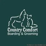 goldendoodle grooming&nbsp