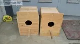 Cockatiel nestboxes